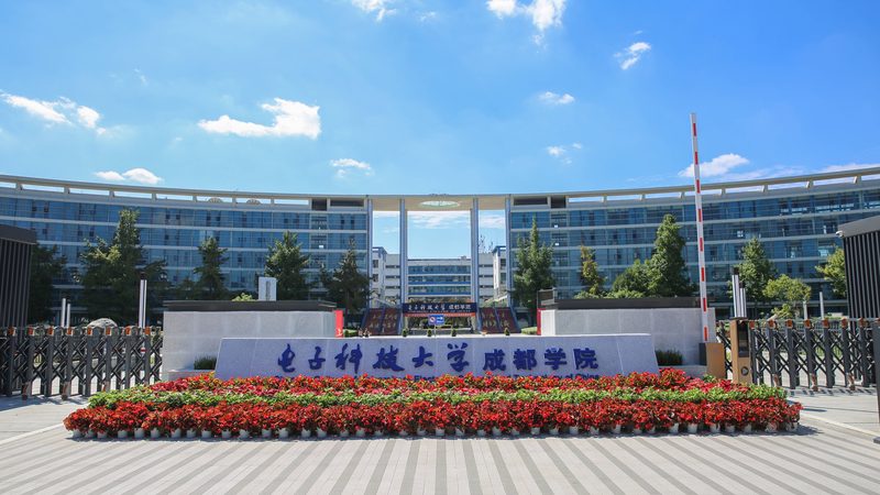 揭秘电子代工企业排名：揭秘背后的技术实力与市场策略